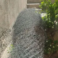 فنس