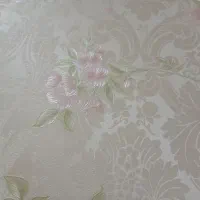 طبقه پایین از دوطبقه
