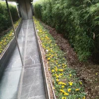 خدمات باغبانی، باغچه کاری،گل کاری،سم پاشی،گلدون