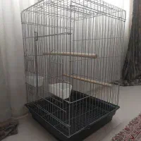 قفس پرنده