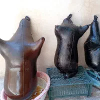 هیزه های گوسفندی معطر 2 و 3 و 6 منی سالم و نو