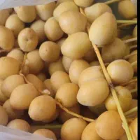راهنمایی کسب وکار