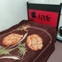تخت فلزی نوجوان