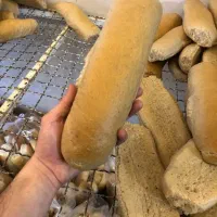 پخش انواع نان فانتزی ساندویچی