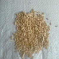 گندم‌ابی