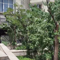 ۴۲۰ بر ۱۲ ۶ طبقه جواز