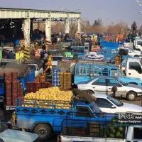 فروش-سر-قفلی-حجره-میدان-میوه-و-تره-بار