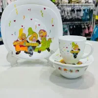 ظروف چینی
