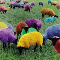 گوسفندنذری.کربلایی‌تمام۲۲منطقه تهران ارسال میشود|حیوانات مزرعه|تهران, خانی‌آباد|دیوار