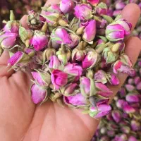 استخدام فروشنده
