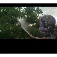 خدمات سم پاشی