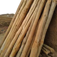 چوب|خدمات باغبانی و درختکاری|اراک, |دیوار