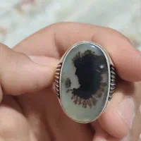 دو عدد انگشتر شجر بی نظیر