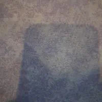 کارتن موز