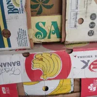 کارتن موزی