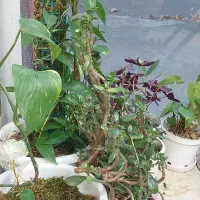 اجاره واحد کارگر ، ۸۵ متری