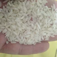برنج کامفیروزی درجه 1