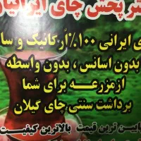 چای اصیل ایرانی صدرصد ارگانیک
