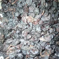 کشمش فخری تاکستان