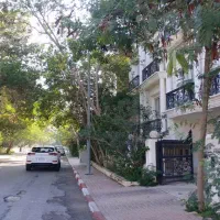 440 متر تجاری صدف