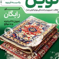 قالی شویی  نوین تضمینی