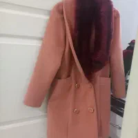 پالتو