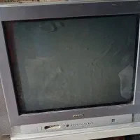 تلوزیون
