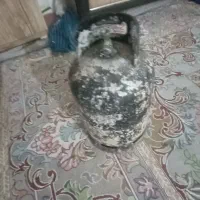 پیک نیک 5کیلویی با مارک استاندارد