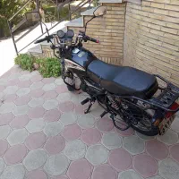 باکسر دینو