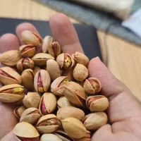 پسته آب اناری