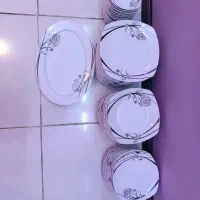 ظروف چینی