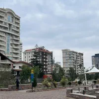 استخدام نیروی جهت همکاری