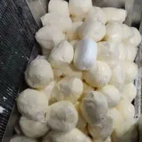 کره حیوانی