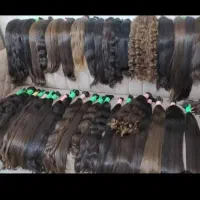 موطلایی