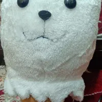 عروسک خرس بستنی