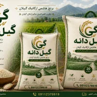 برنج هاشمی ارگانیک