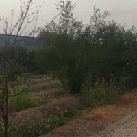 باغ-با-برق-شخصی-قلعه-سفید