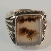 انگشتر شجر با رکاب نقره