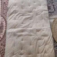 تشک پشمی