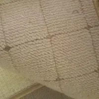 پالاز موکت  ۲۰ متر