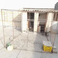 گنجه کبوتر