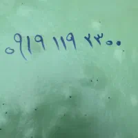 خط یک رند
