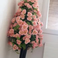 درختچه|گل مصنوعی|کرمانشاه, |دیوار