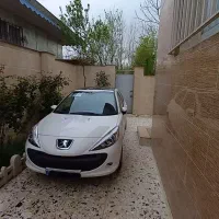 207ارتقا یافته  پاناروما