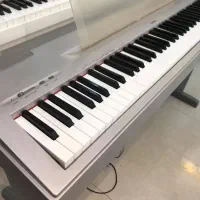 پیانو دیجیتال YAMAHA مدل p60 ساخت ژاپن