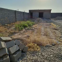 باغچه-نیمه-سازپشت-قارچ-باران