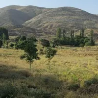 تهران شهر پردیس با متراژ ۲۲۰ متر کاربری باغ ویلا|فروش زمین و ملک کلنگی|تهران, شاهد|دیوار