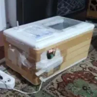 دستگاه جوجه کشی