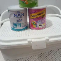 سبد فروشی رنگ شیری