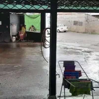 همکاری در کارواش